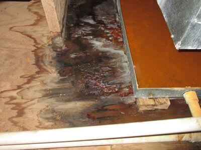 About Tallahassee Water Damage Repair - water damage restoration experts in Tallahassee